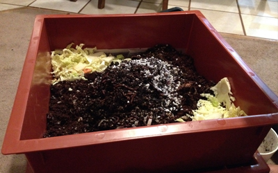 compost