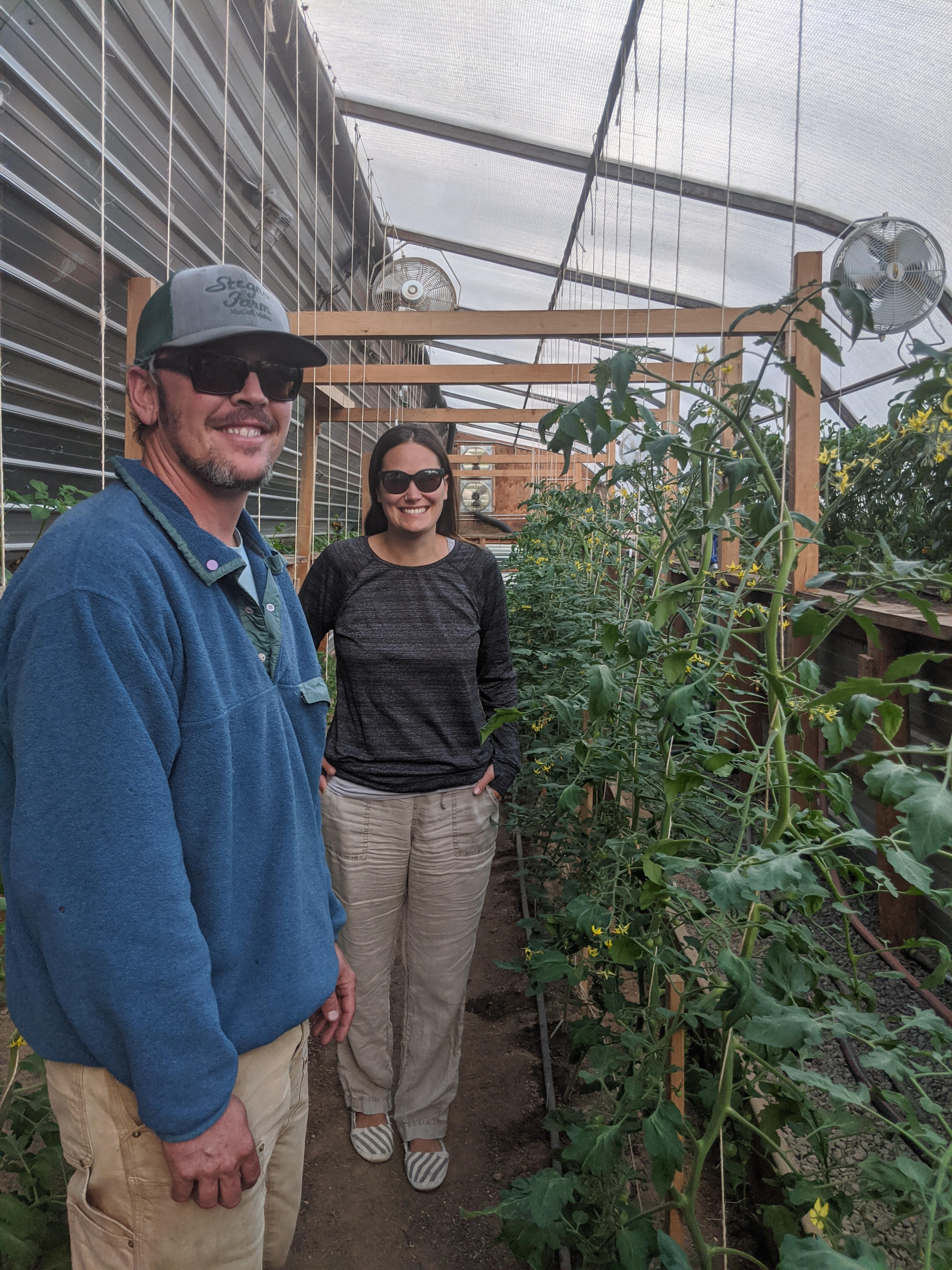 The greenhouse