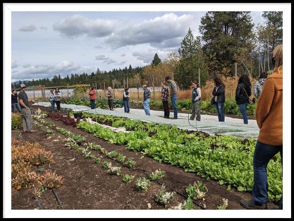 Farm Tour